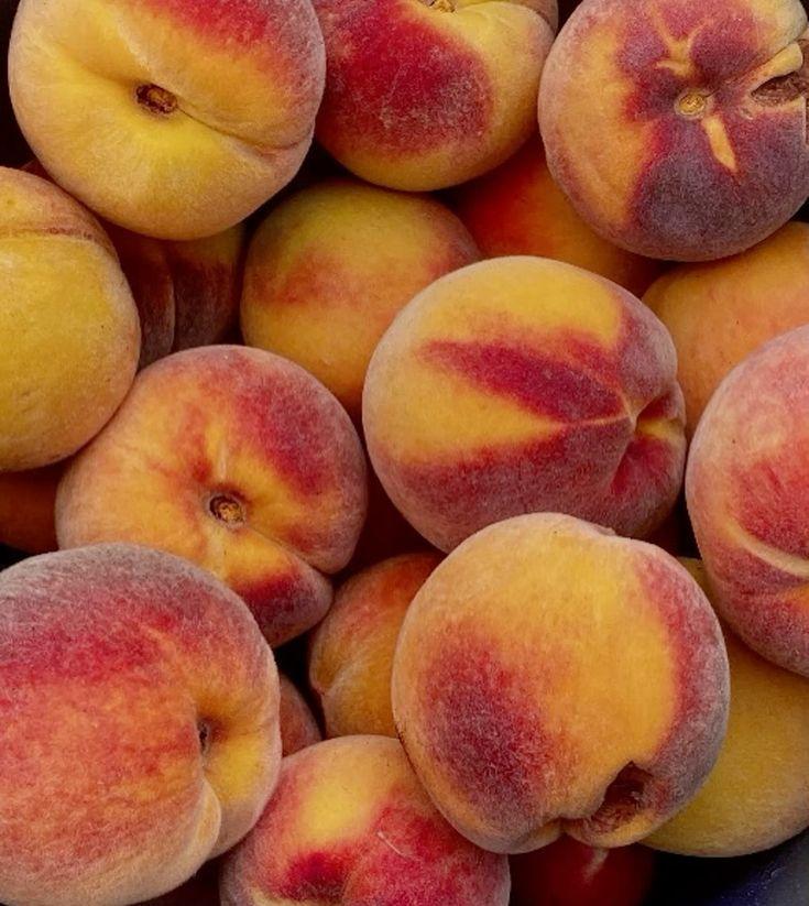 Harvest Medley: Peak Season Picks